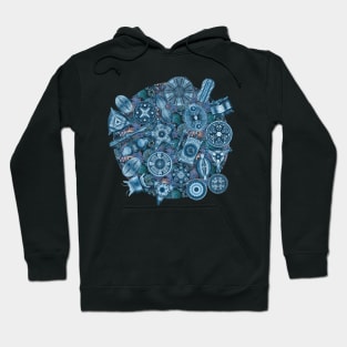 Ernst Haeckel Teal Diatoms on Teal Sea Squirts Hoodie